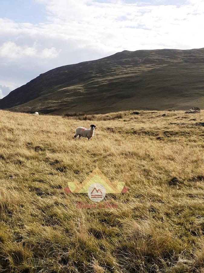 Hiker'S Den, Brigham, Cockermouth, Cumbria Villa Buitenkant foto